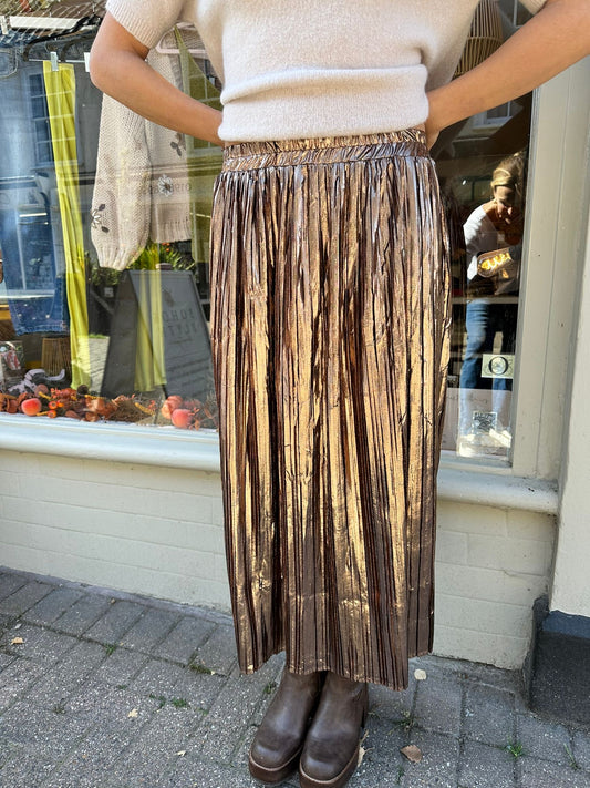 The Dana Metallic Pleated Maxi Skirt