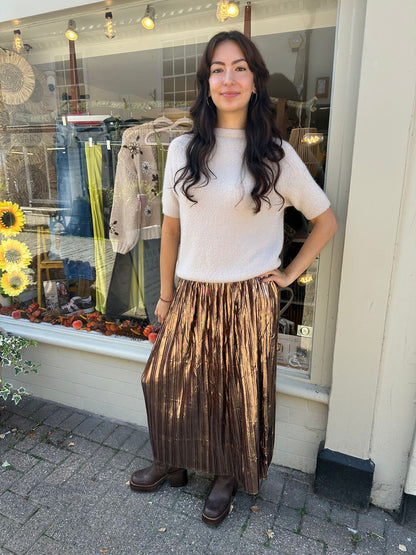 The Dana Metallic Pleated Maxi Skirt
